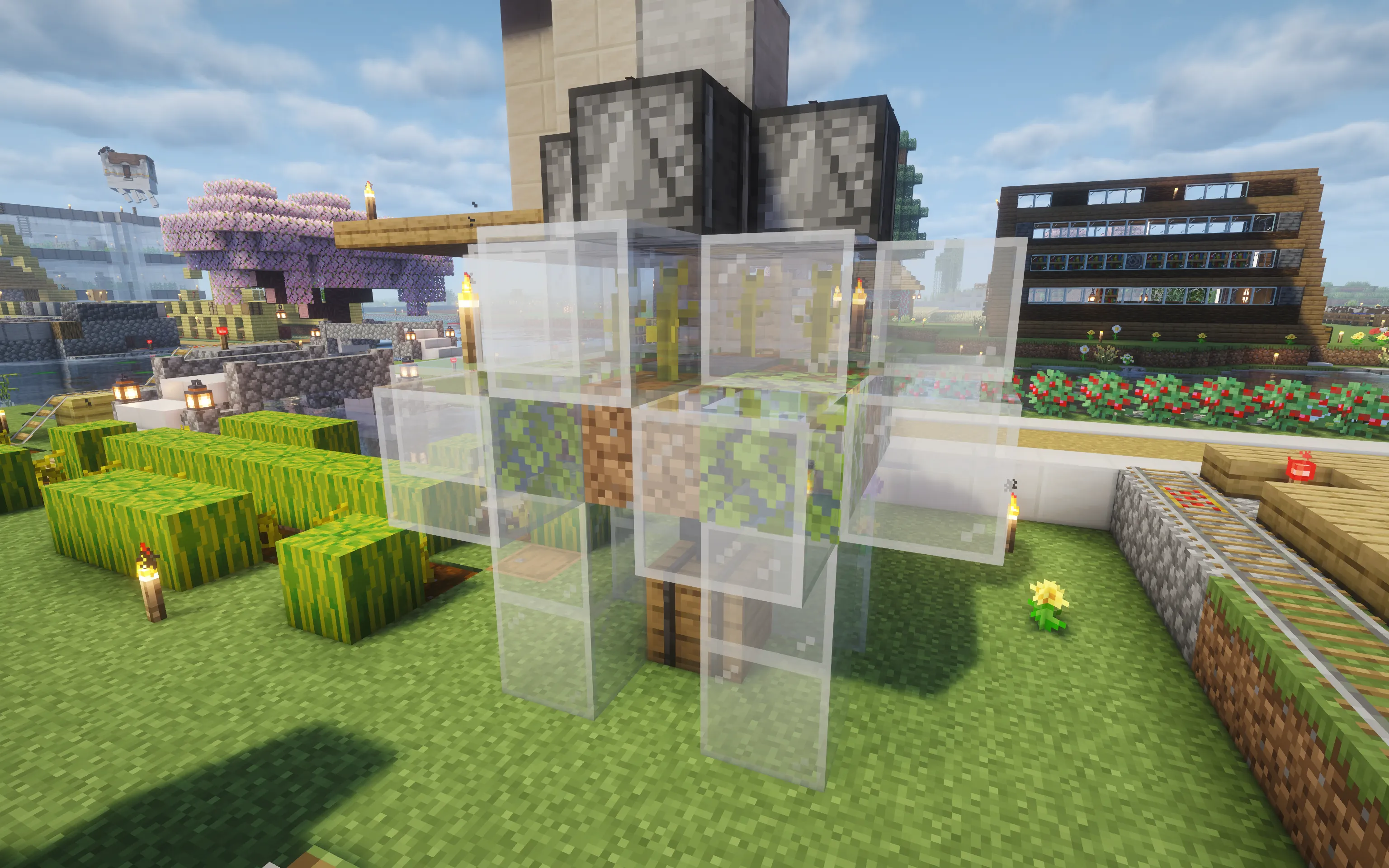Melon Farm