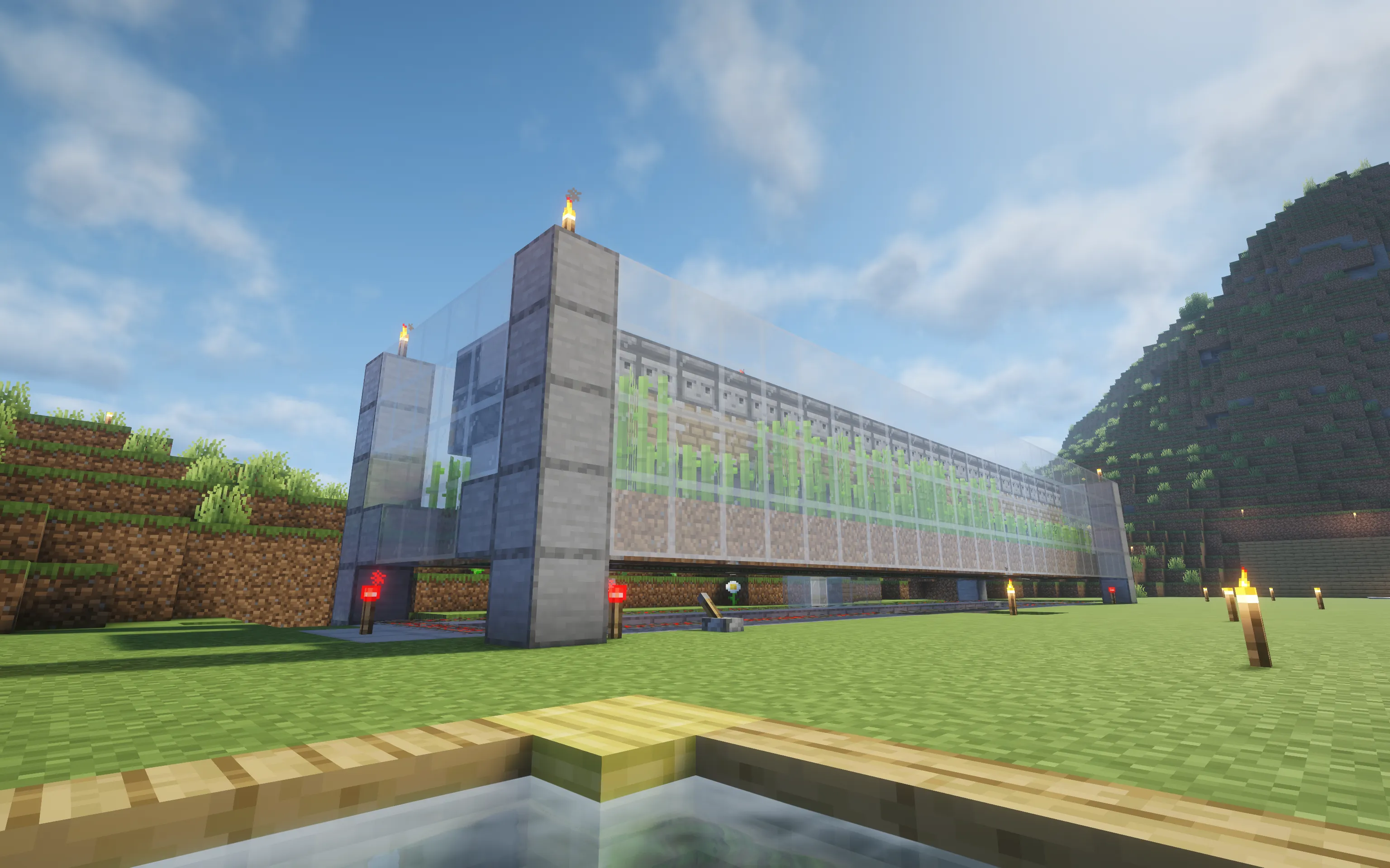 Sugarcane Farm - view 1