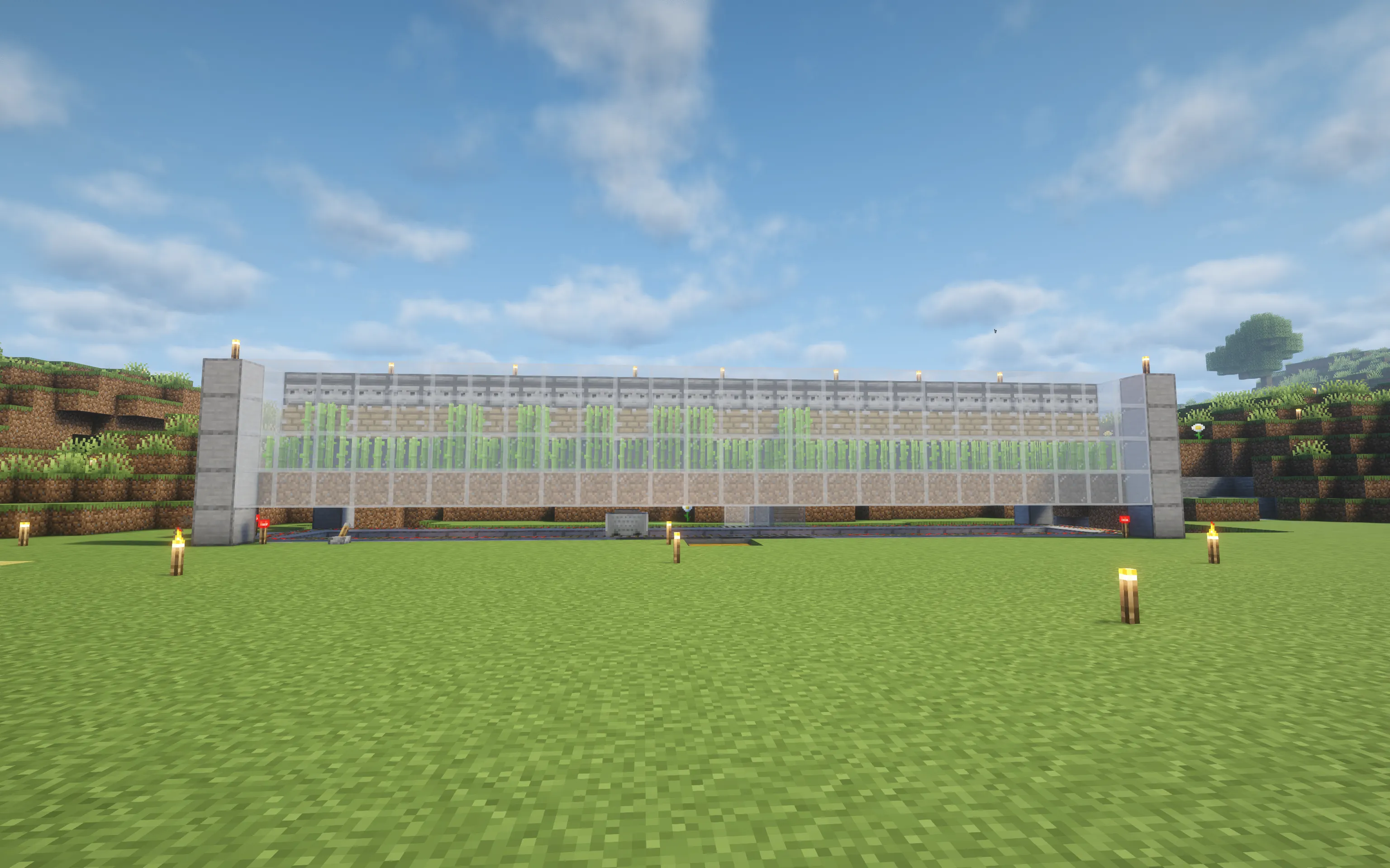 Sugarcane Farm - view 2